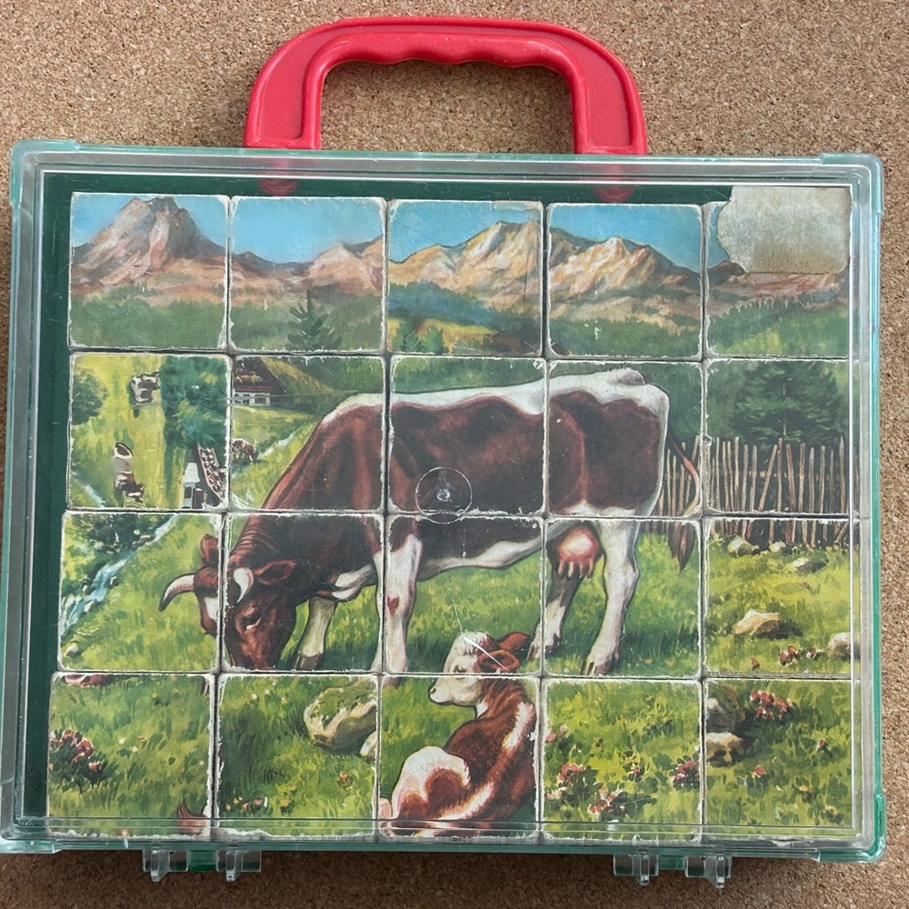 Vintage Hermann Eichhorn Puzzle & Carry Case